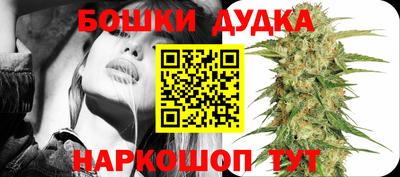 твердый Будённовск