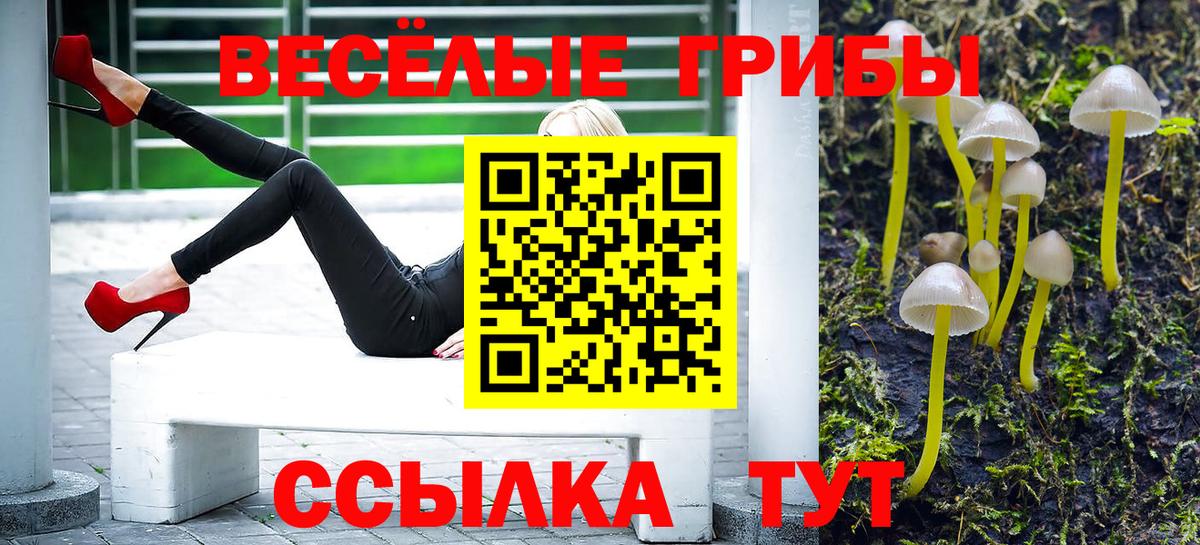 Галлюциногенные грибы мухоморы Сальск