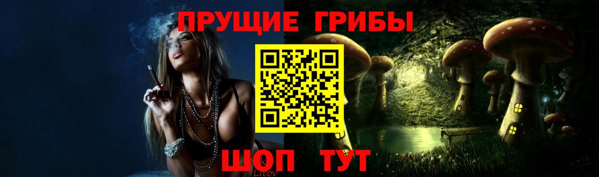Галлюциногенные грибы MAGIC MUSHROOMS  Галлюциногенные грибы мухоморы  где купить наркоту  Сальск  Вход с VPN 